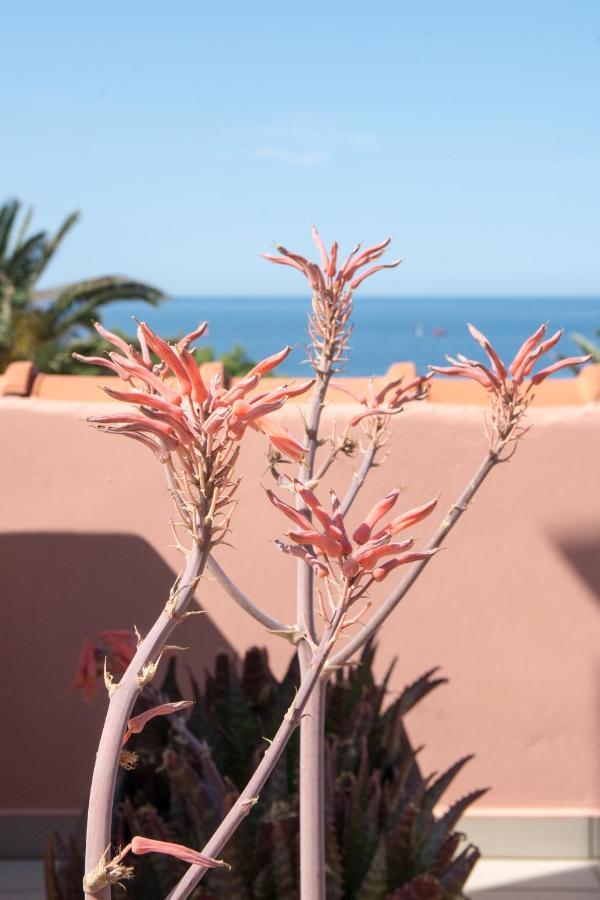 Platy Beach Hotel Екстериор снимка